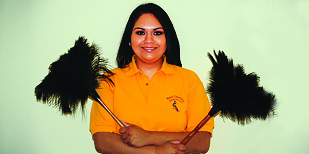Northern Virginia Maid Cleaning Services 12 Arlington County Virginia